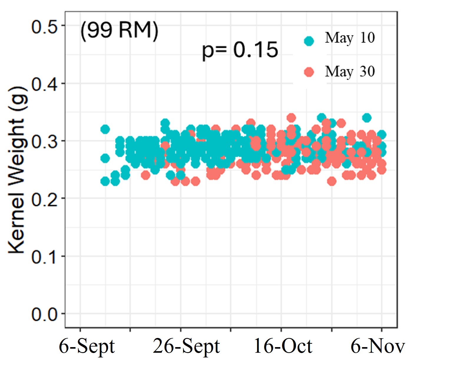 Scatter plot of kernel weight over time for 99 RM corn comparing two planting dates (May 10 and May 30), showing similar kernel weights with minimal statistical difference (p = 0.15).
